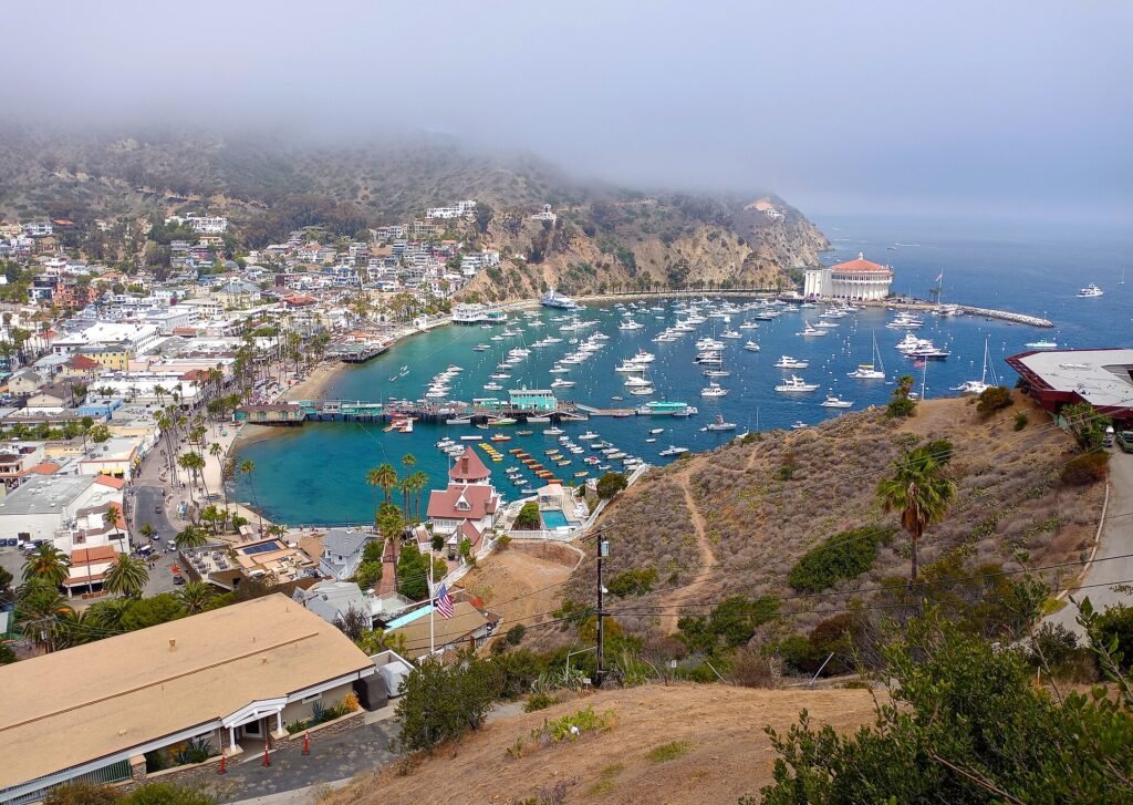 Avalon harbor on Catalina Island