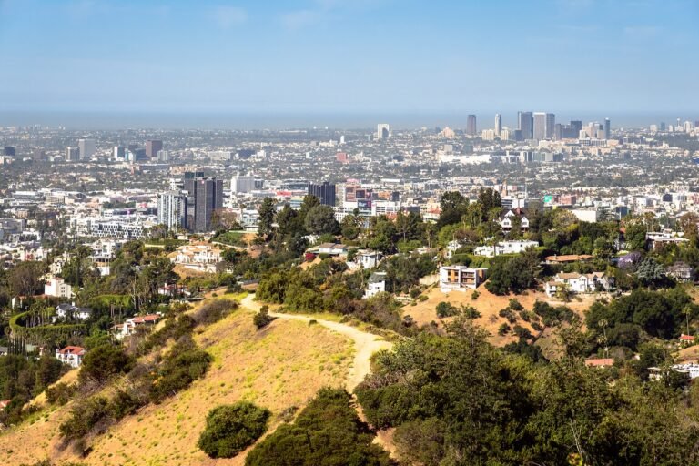 Things to Do in Los Angeles: Where to Start and What to See